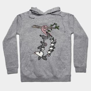 Joyous June Opossum Hoodie